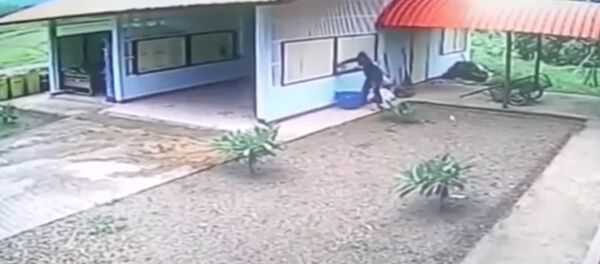 Вор взламывает окно, но его усилия оказываются напрасными, — видео - Sputnik Кыргызстан