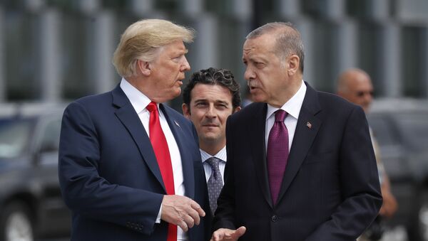 АКШнын жана Түркиянын президенттери Дональд Трамп жана Реджеп Тайип Эрдоган. Архив - Sputnik Кыргызстан