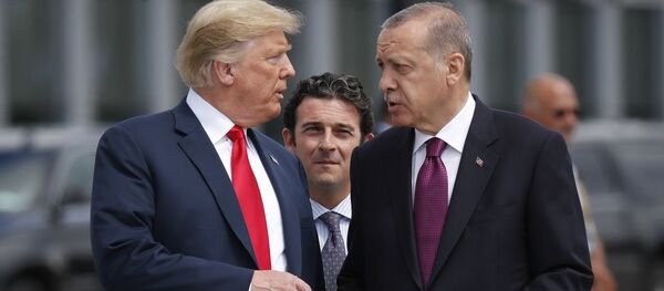 АКШнын жана Түркиянын президенттери Дональд Трамп жана Реджеп Тайип Эрдоган. Архив - Sputnik Кыргызстан