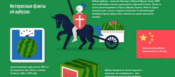 Интересные факты об арбузе, которые вы могли не знать — инфографика Интересные факты об арбузе, которые вы могли не знать — инфографика - Sputnik Кыргызстан