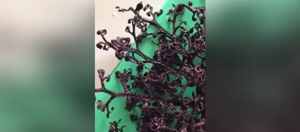 Морской монстр с сотней щупалец напугал жителей Вьетнама. Видео - Sputnik Кыргызстан