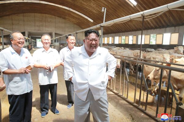 Лидер КНДР Ким Чен Ын посетил ферму Ungok Area General Stock - Sputnik Кыргызстан