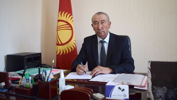 Директор Фонда развития Иссык-Кульской области Алдаярбек Тойгоналиев - Sputnik Кыргызстан