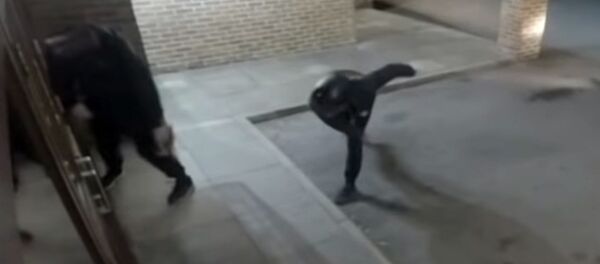 Вор бросил кирпич в витрину, а попал в голову другу, — видео - Sputnik Кыргызстан