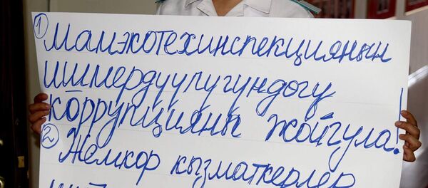 Митинг Анары Мамбеталиевой - Sputnik Кыргызстан