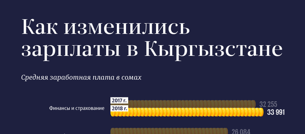 Как изменились зарплаты в Кыргызстане Как изменились зарплаты в Кыргызстане - Sputnik Кыргызстан