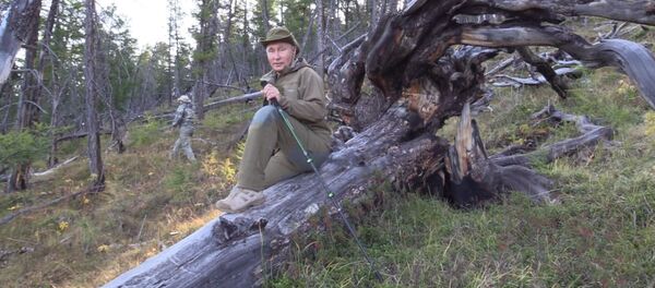 Отдых президента: грибы, ягоды и прогулки по горам в Туве - Sputnik Кыргызстан