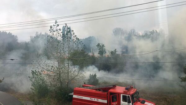 Пожар возле парка имени Ататюрка на юге Бишкека - Sputnik Кыргызстан