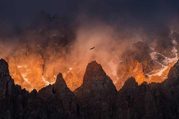 Снимки голландского фотографа Альберта Дроса - Sputnik Кыргызстан