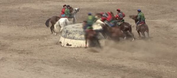 Бул кино эмес! Тай казанга ыргыган улакты тээп чыгарган аттын видеосу - Sputnik Кыргызстан