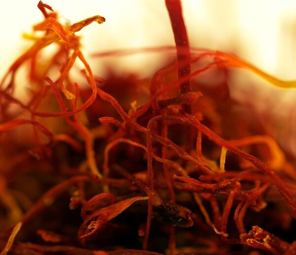 Шафран — рыльце цветка крокуса Шафран — рыльце цветка крокуса - Sputnik Кыргызстан