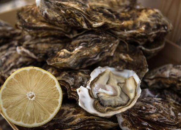 Рыбная неделя в рамках фестиваля Золотая осень Рыбная неделя в рамках фестиваля Золотая осень - Sputnik Кыргызстан