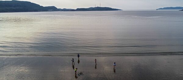 Побережье Баренцева моря в Мурманской области - Sputnik Кыргызстан