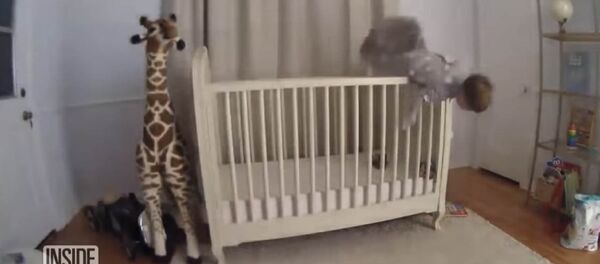 Папа спас малыша благодаря молниеносной реакции — видео - Sputnik Кыргызстан