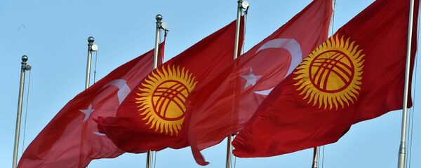 Кыргызстандын жана Түркиянын желектери. Архив - Sputnik Кыргызстан