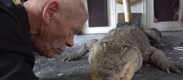 СПУТНИК_Домашний зоопарк из 400 рептилий - Sputnik Кыргызстан