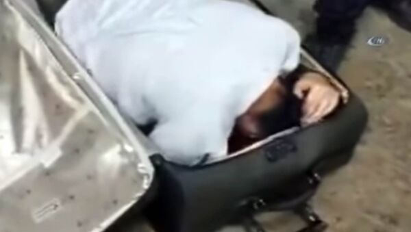 Мужчина спрятал узбекистанку в чемодане — пытался пронести в Турцию. Видео - Sputnik Кыргызстан