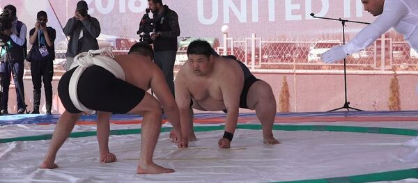 Как сумоисты боролись на Иссык-Куле — самые интересные моменты. Видео - Sputnik Кыргызстан