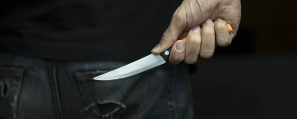 Случаи нападения в КР Случаи нападения в КР - Sputnik Кыргызстан