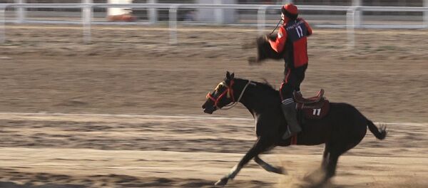 Ниязов тай казанга улак кучактап ыргыганда… Көк бөрү финалынан кызыктуу видео Ниязов тай казанга улак кучактап ыргыганда… Көк бөрү финалынан кызыктуу видео - Sputnik Кыргызстан