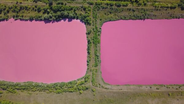 Розовые озера под Самарой - Sputnik Кыргызстан