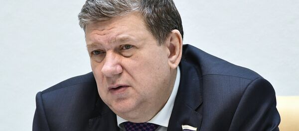 Заседание Совета Федерации РФ Заседание Совета Федерации РФ - Sputnik Кыргызстан