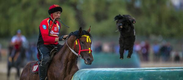 III Всемирные игры кочевников. 6 день. Кок-бору (Финал). Кыргызстан — Узбекистан - Sputnik Кыргызстан