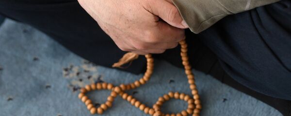 Тесме. Архив Тесме. Архив - Sputnik Кыргызстан