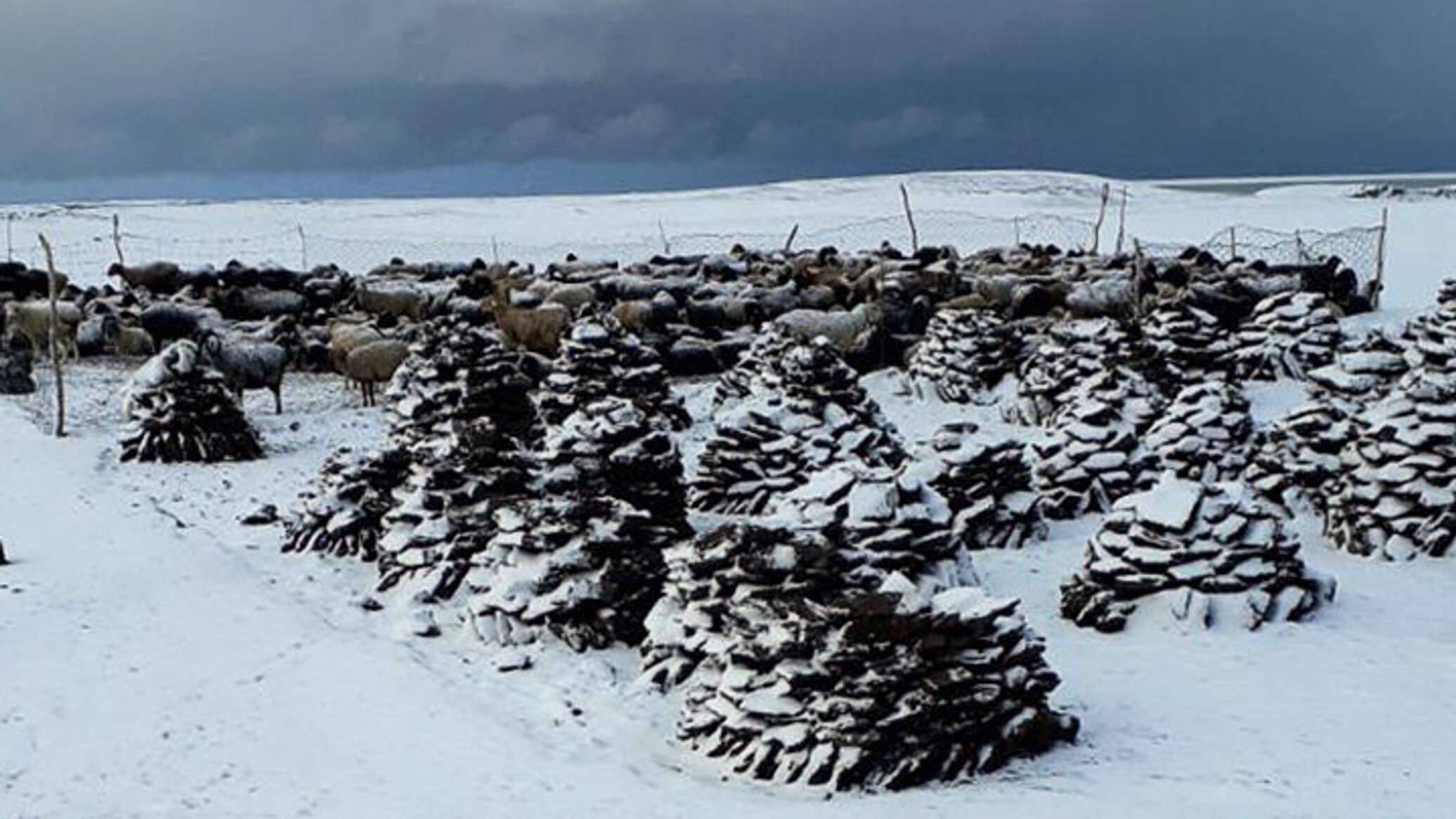 Местами дождь и снег — погода по Кыргызстану на 17 февраля