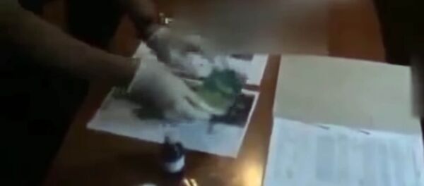 Как задерживали заместителя военкома со взяткой в Кыргызстане. Видео - Sputnik Кыргызстан