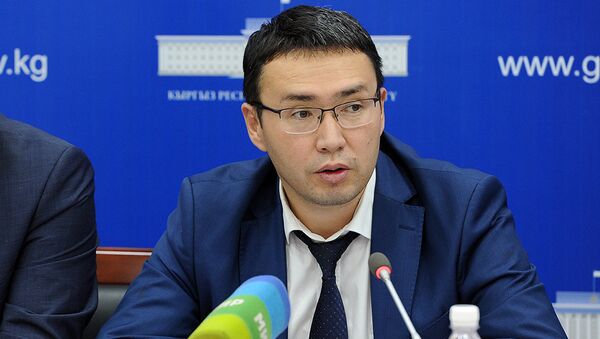Экономика министринин орун басары Элдар Абакиров - Sputnik Кыргызстан