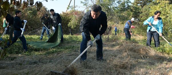Субботник в Ботаническом саду им. Э. З. Гареева в Бишкеке - Sputnik Кыргызстан