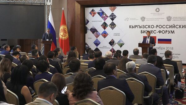 Мы задали вопрос семерым бизнесменам из РФ: сложно ли работать в Кыргызстане? - Sputnik Кыргызстан