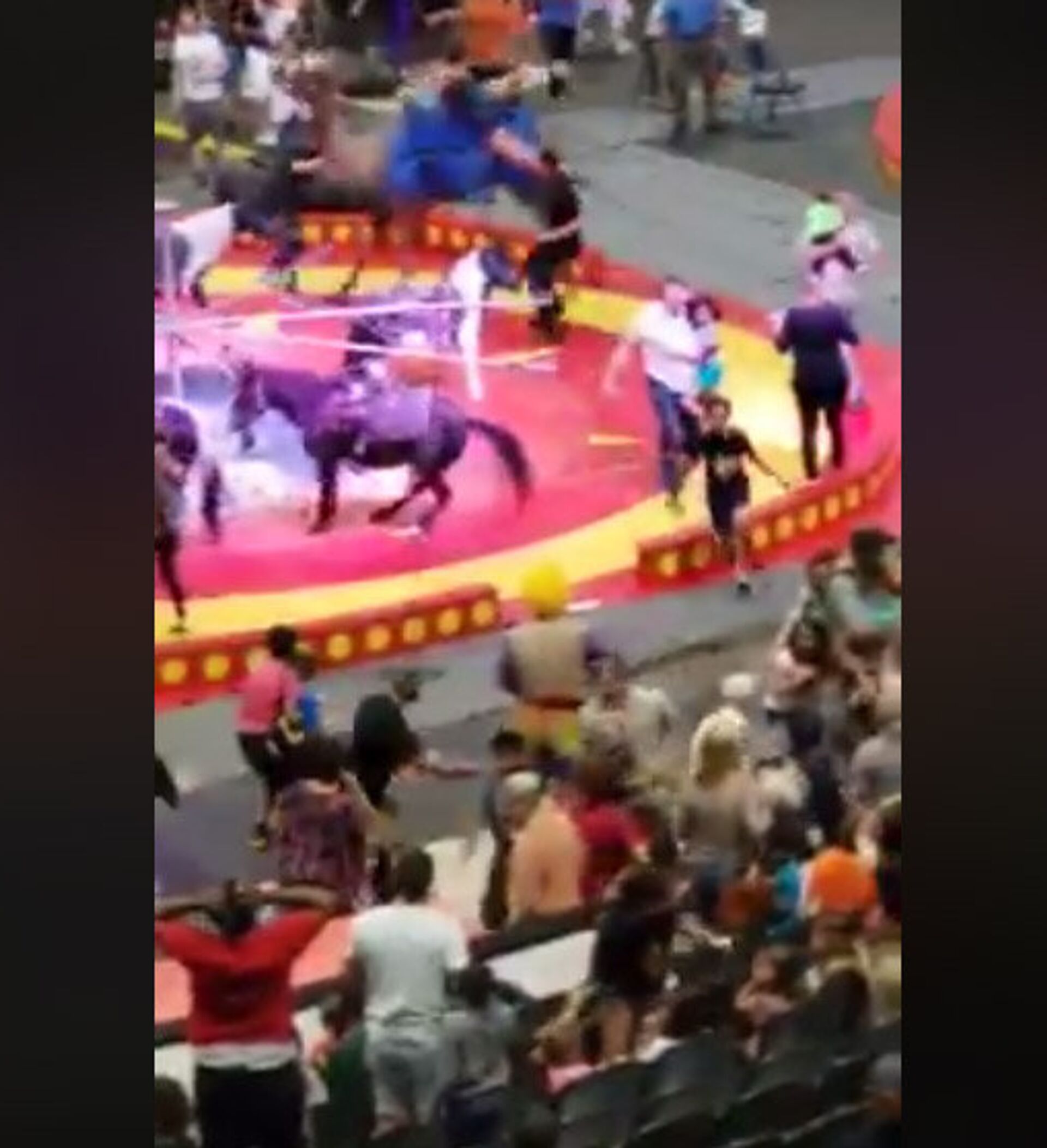 Испуганный верблюд напал на зрителей во время представления в США — видео