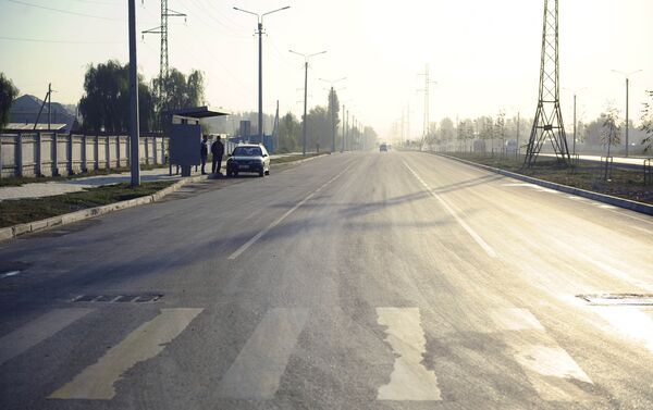По его словам, пешеходная зона будет построена с двух сторон Южной магистрали от улицы Байтик Баатыра до Садырбаева. - Sputnik Кыргызстан