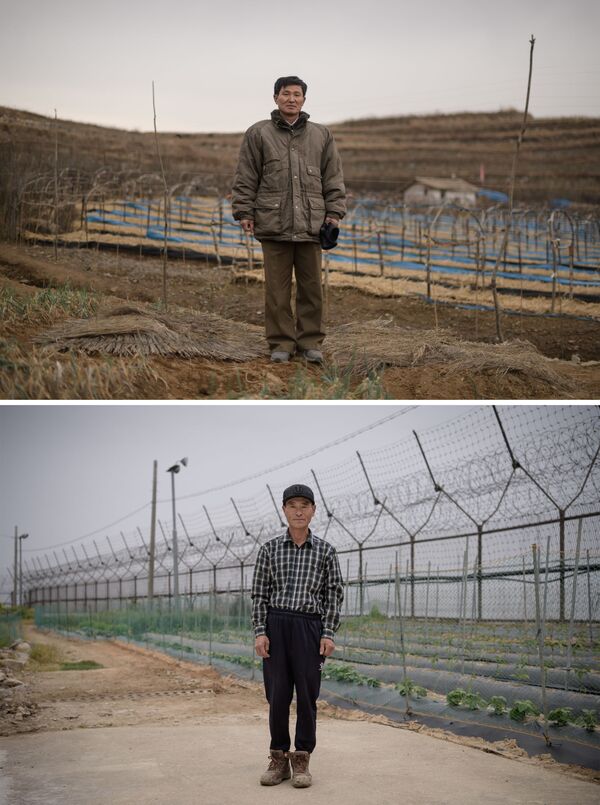 Управляющий фермы по выращиванию женьшеня в Кэсоне (КНДР) и южнокорейский фермер перед забором в демилитаризованной зоне - Sputnik Кыргызстан