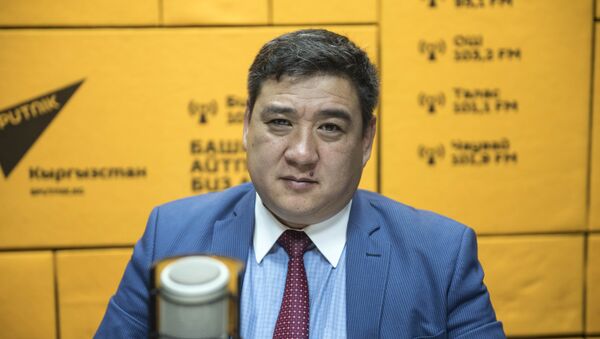 Заместитель директора Центра трудоустройства граждан при Минтруде КР Алмаз Алыбаев - Sputnik Кыргызстан