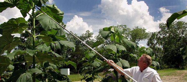 Ферма Дэвида Дрекслера в штате Джорджия - Sputnik Кыргызстан