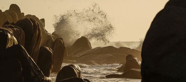 Страны мира. Вьетнам Страны мира. Вьетнам - Sputnik Кыргызстан