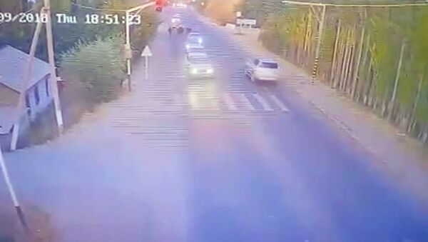 Объезжал корову — на видео попал момент смертельного наезда на ребенка в Оше - Sputnik Кыргызстан