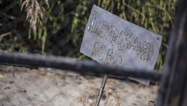 Места захоронения животных больных сибирской язвой. Архивное фото - Sputnik Кыргызстан