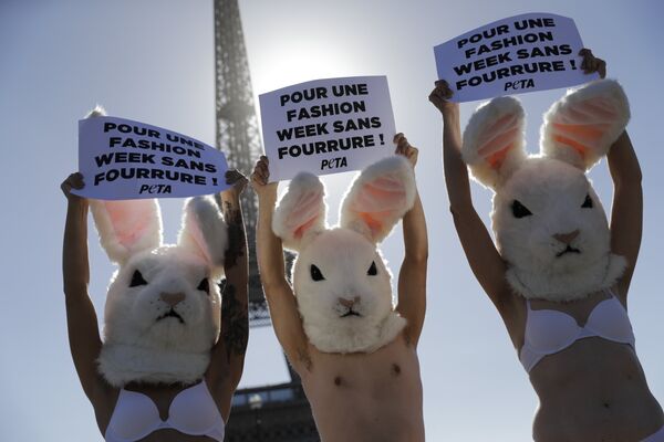 Акция активистов за этическое обращение с животными в Париже - Sputnik Кыргызстан