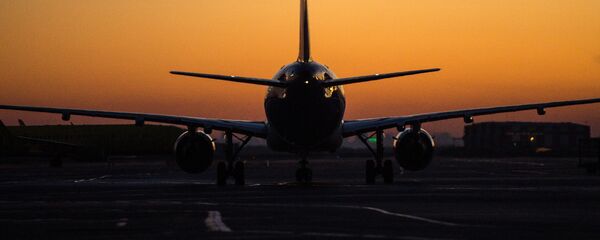 Аэропорттогу учак. Архив - Sputnik Кыргызстан