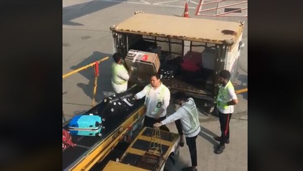 Грузчики швыряют багаж пассажиров в аэропорту Гонконга — соцсети в шоке - Sputnik Кыргызстан