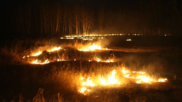 Полевой пожар в Коченевском районе Новосибирской области - Sputnik Кыргызстан