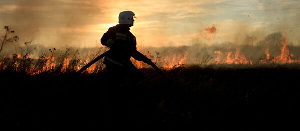 Тушение травы возле поселка Панковка Новгородской области - Sputnik Кыргызстан