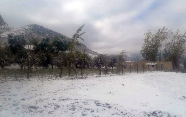 В ночь с 8 на 9 октября в нескольких селах Лейлекского района Баткенской области выпал снег - Sputnik Кыргызстан