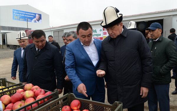 Жээнбеков рассказал, что республика экспортирует 90 тысяч тонн фасоли в год, прибыль достигает 70 миллионов долларов. - Sputnik Кыргызстан
