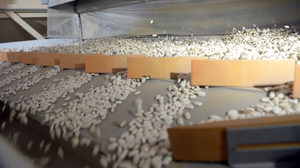 Төө буурчак заводу. Архив - Sputnik Кыргызстан