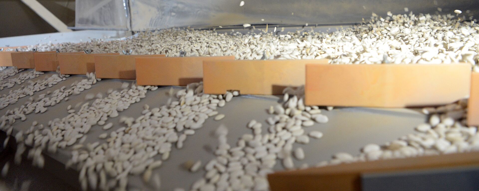 Завод по переработке фасоли. Архивное фото - Sputnik Кыргызстан, 1920, 23.12.2025